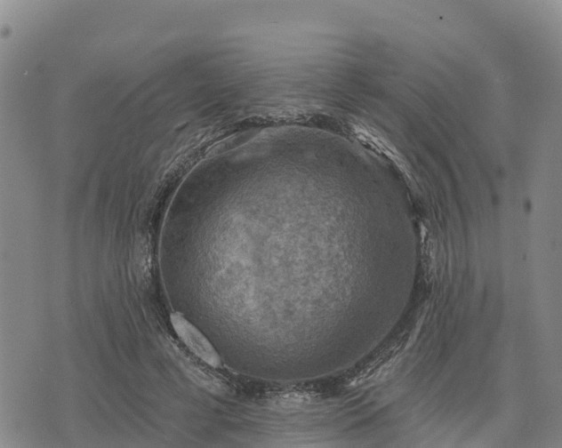 X0000074340593200609011630