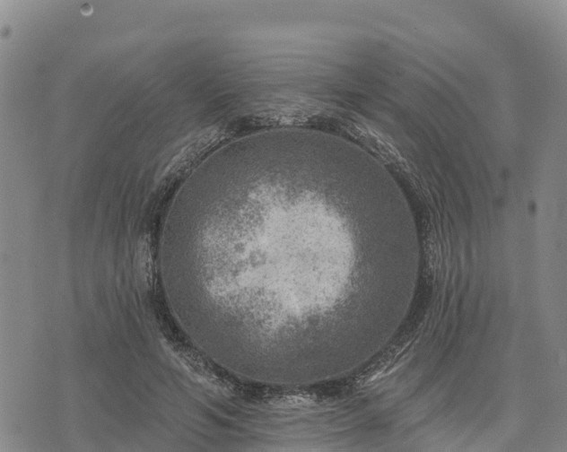 X0000074340594200609011630