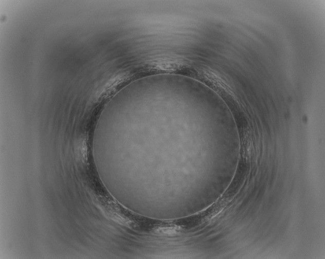 X0000074340595200609011630