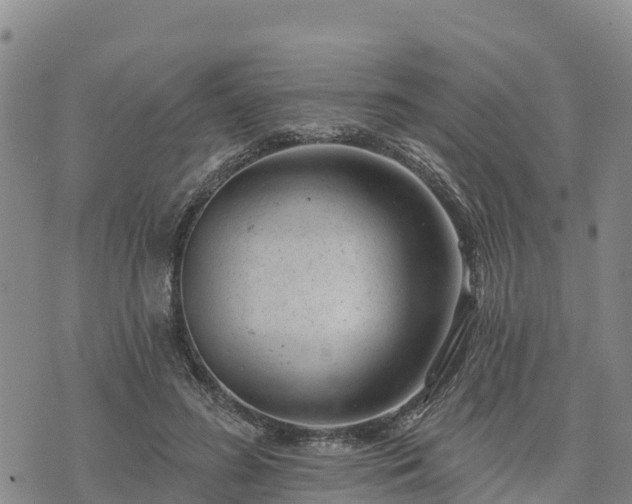 X0000074340596200609011630