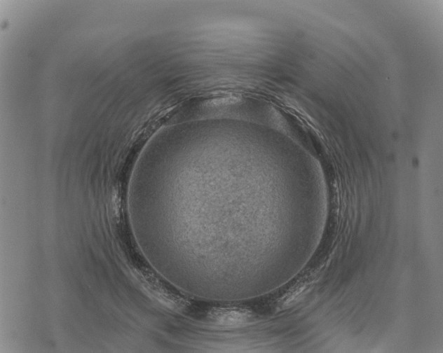 X0000074340597200609011630