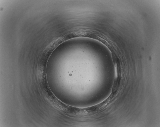 X0000074340600200609011630