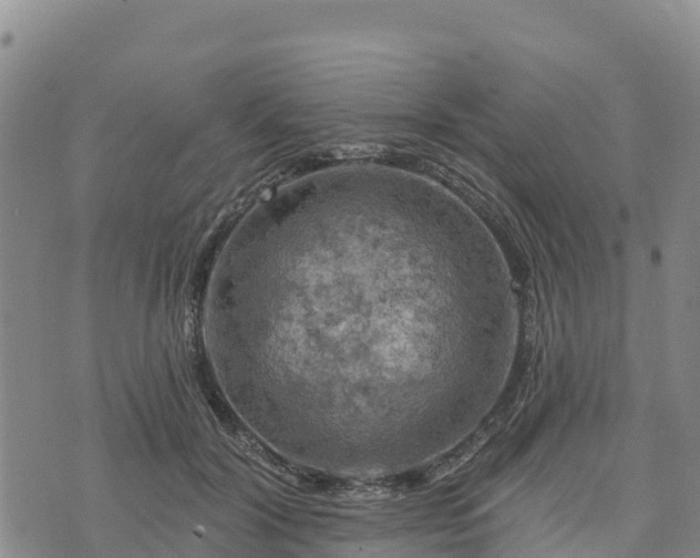 X0000074340604200609011630