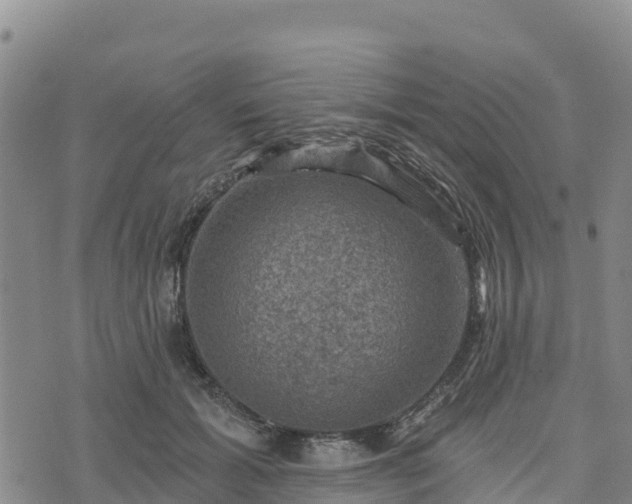 X0000074340605200609011630