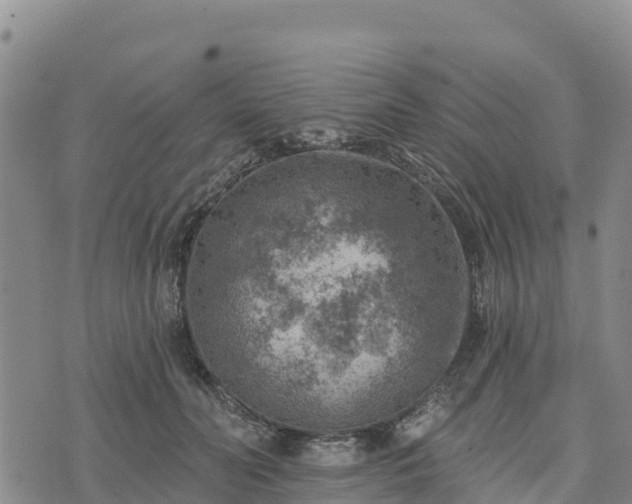 X0000074340606200609011630