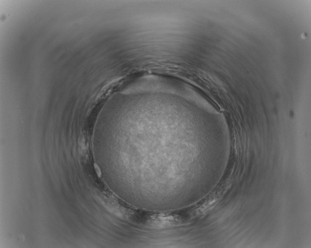 X0000074340607200609011630