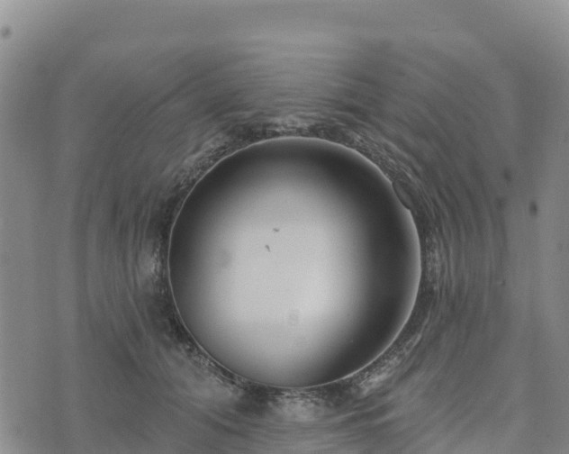 X0000074340608200609011630