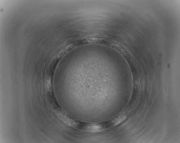 X0000074340610200609011630