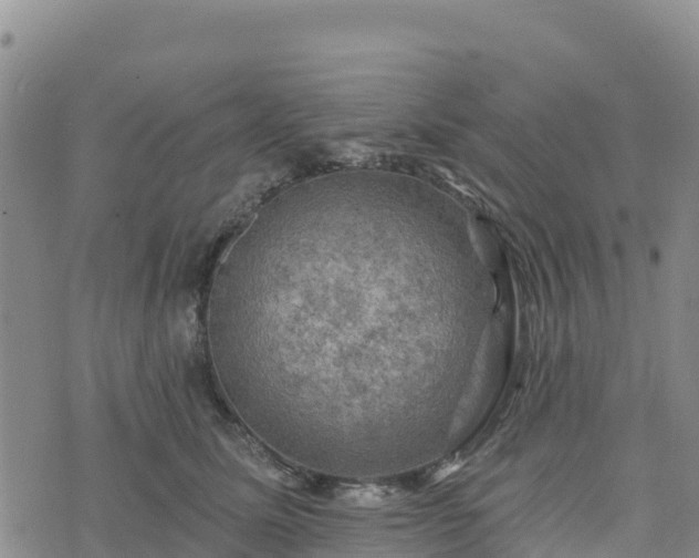 X0000074340611200609011630