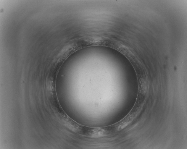 X0000074340612200609011630