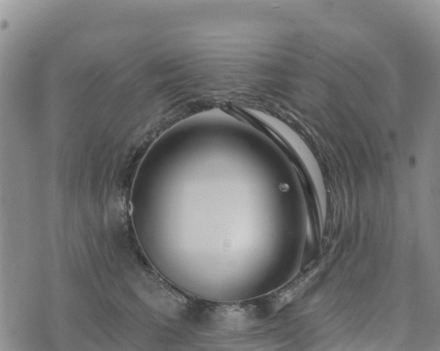 X0000074340613200609011629