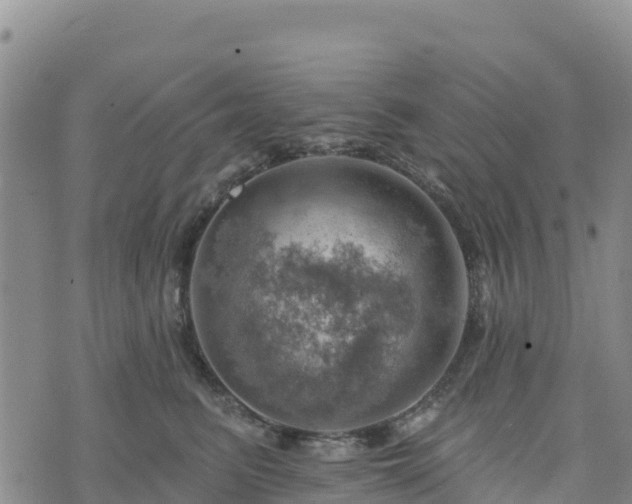 X0000074340615200609011629