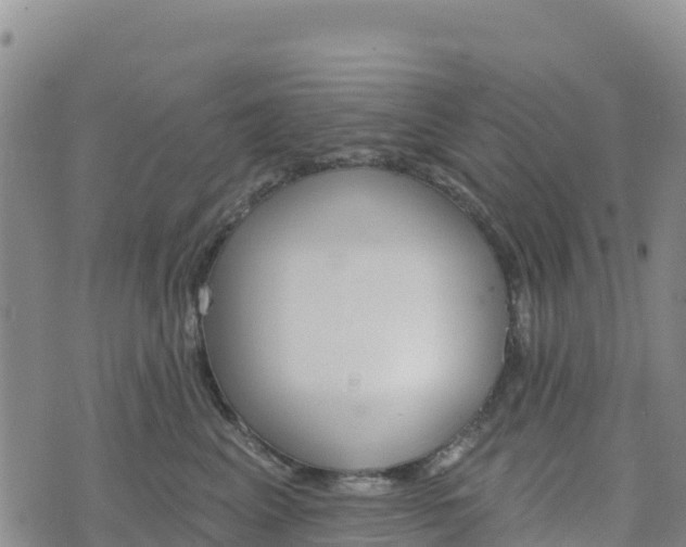 X0000074340617200609011629