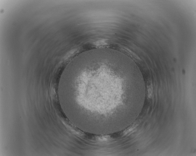 X0000074340618200609011629