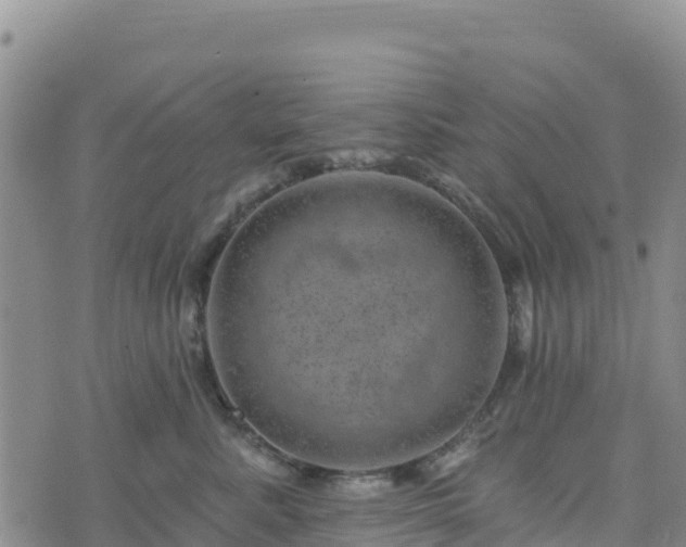 X0000074340619200609011629