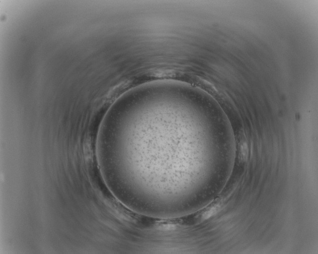 X0000074340620200609011629