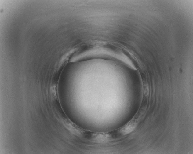 X0000074340621200609011629