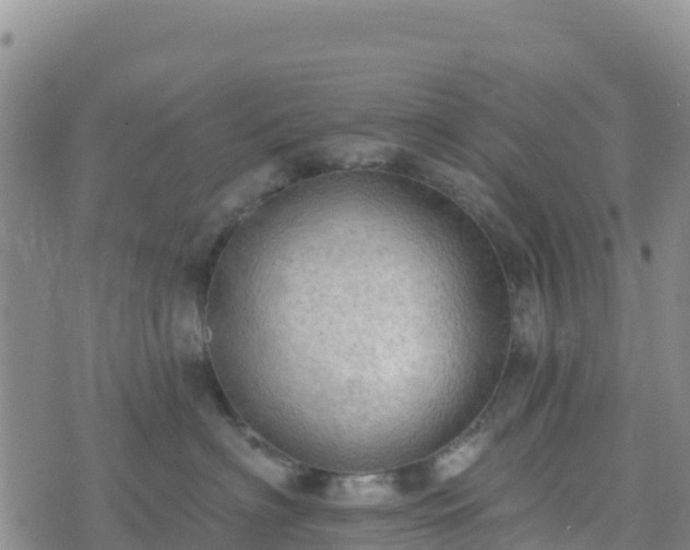 X0000074340622200609011629