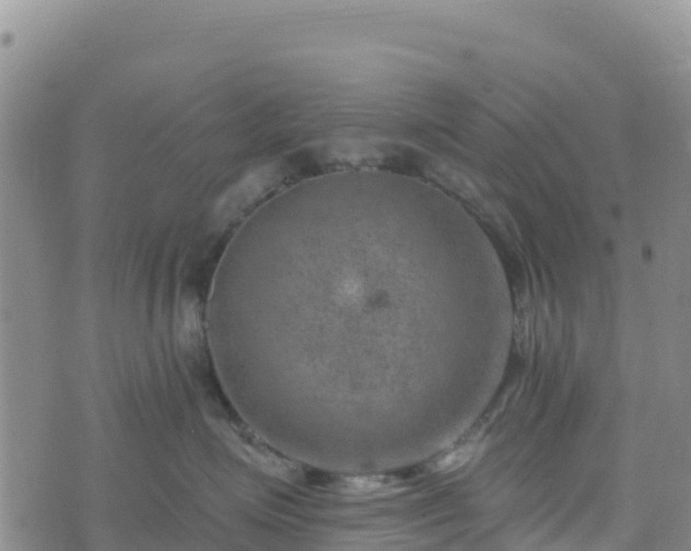 X0000074340623200609011629