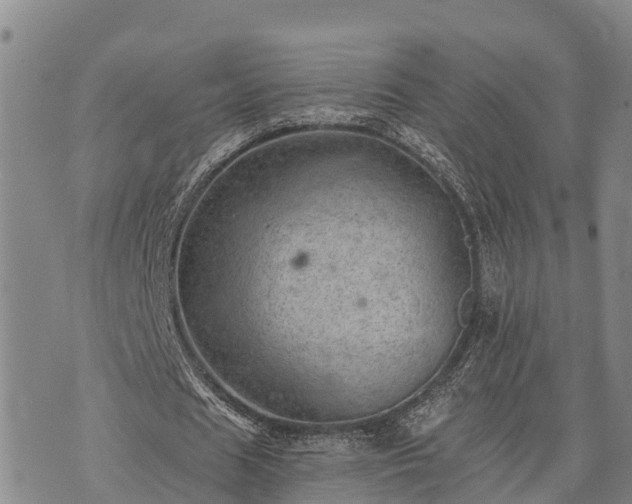 X0000074340625200609011629