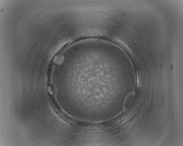 X0000074340627200609011629