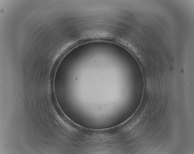 X0000074340629200609011629