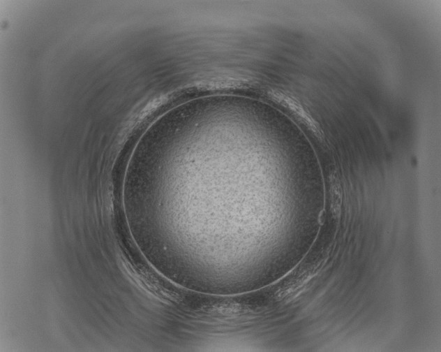 X0000074340631200609011629