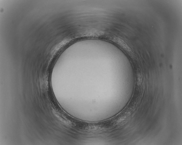 X0000074340632200609011629