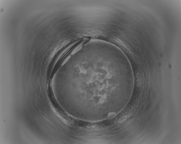 X0000074340634200609011629