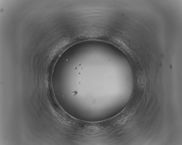 X0000074340635200609011629