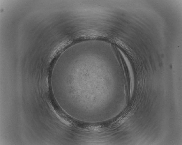 X0000074340638200609011629