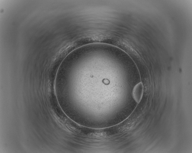 X0000074340639200609011629