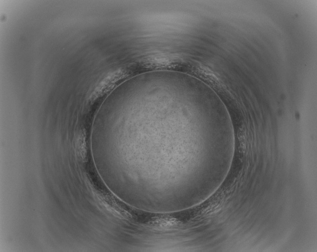 X0000074340642200609011629