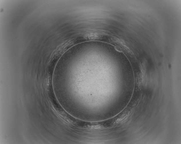 X0000074340645200609011629