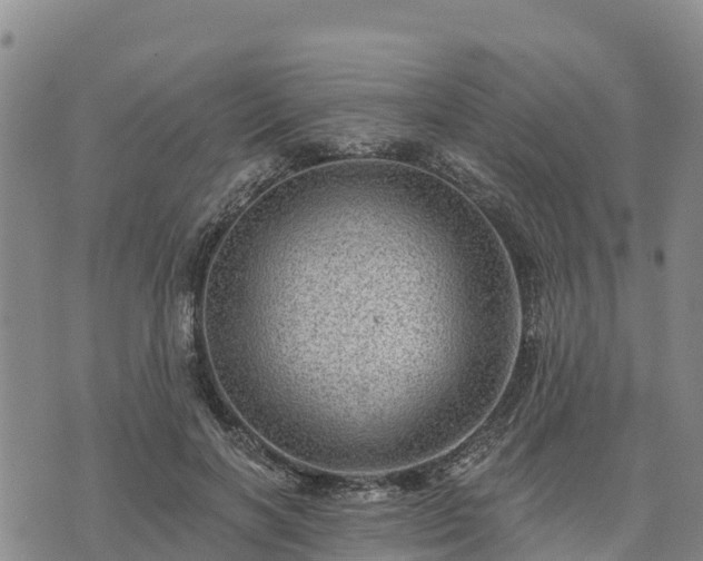 X0000074340646200609011629