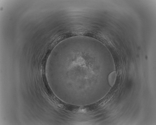 X0000074340647200609011629