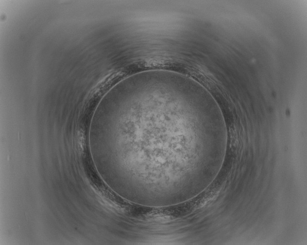 X0000074340648200609011629