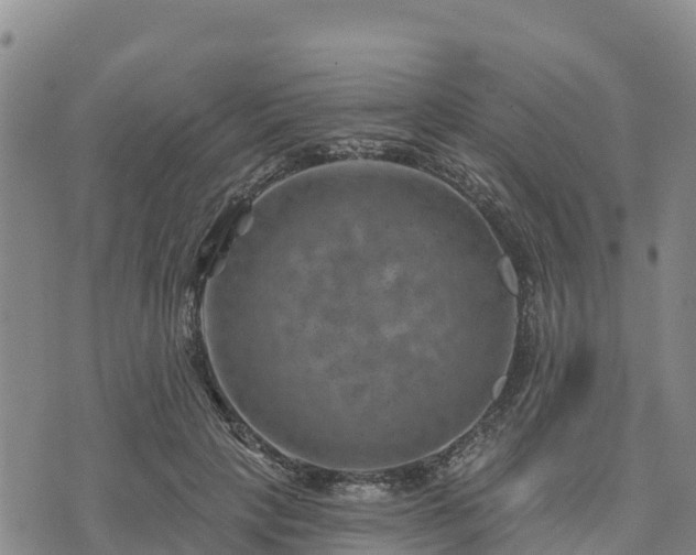 X0000074340649200609011629