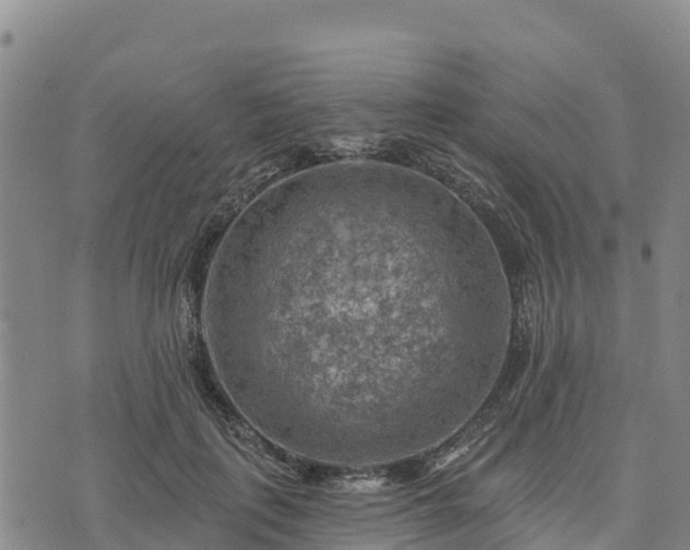 X0000074340651200609011629