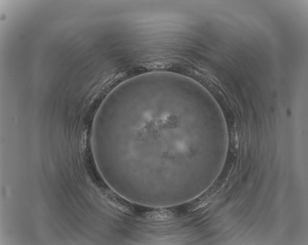 X0000074340652200609011629