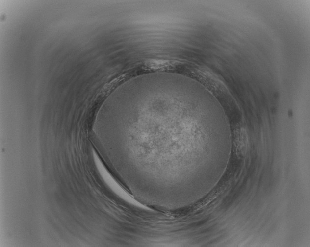 X0000074340653200609011629