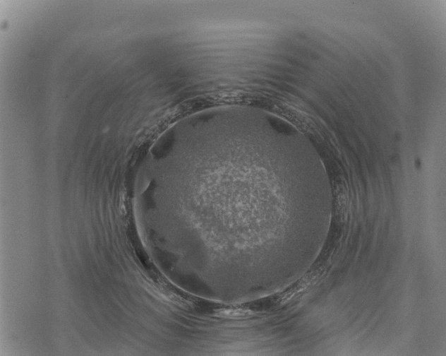 X0000074340654200609011629