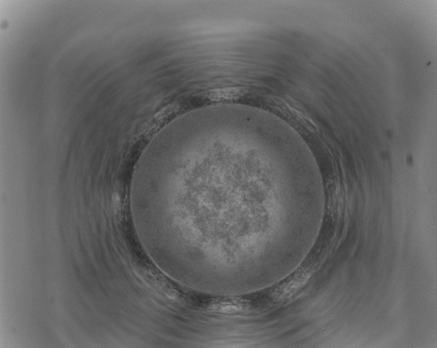 X0000074340655200609011629