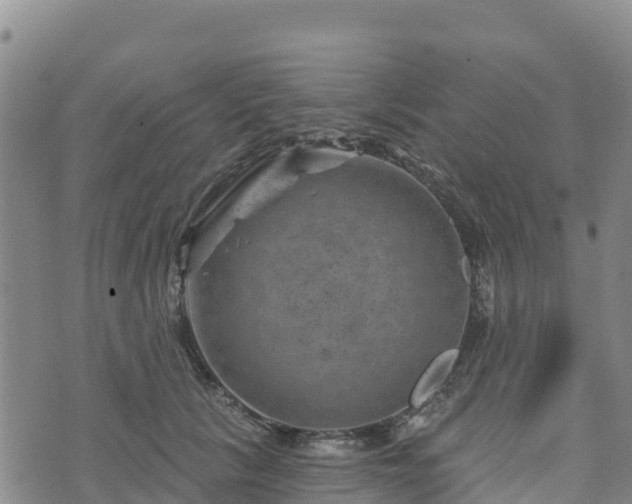 X0000074340657200609011629