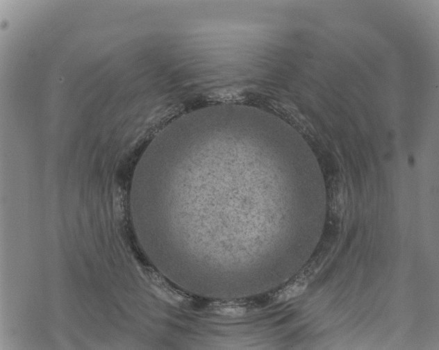 X0000074340658200609011629