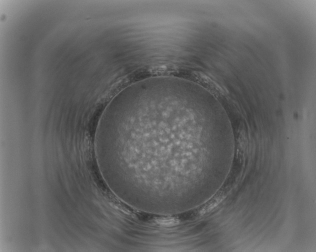 X0000074340659200609011629