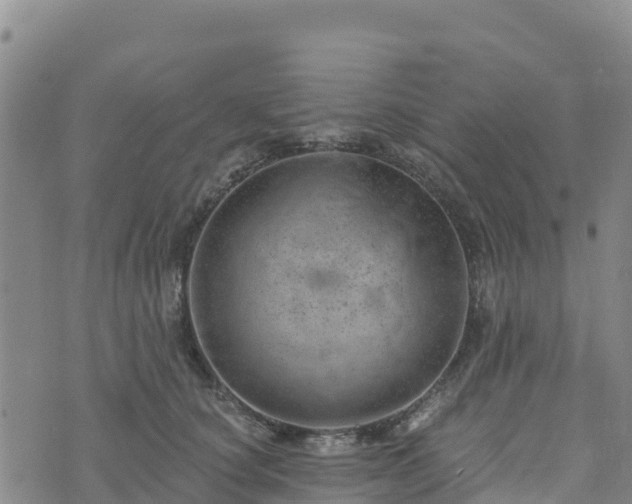 X0000074340660200609011629