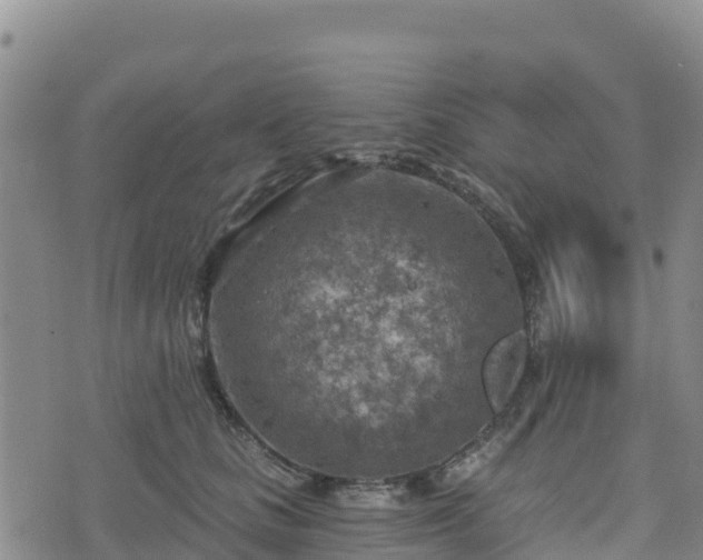 X0000074340661200609011629