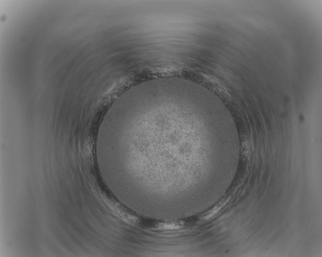 X0000074340662200609011629