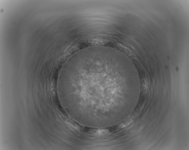 X0000074340663200609011629